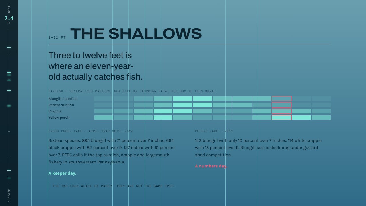 Sheet 2 at The Shallows: a heat strip of species by month and survey notes on a deep blue column with a depth gauge at the left.
